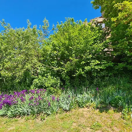 Apartmán Di Magnano By Interhome