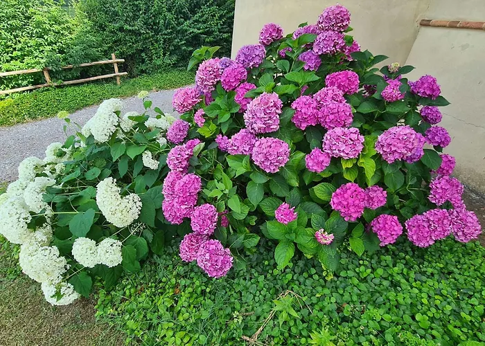 Di Magnano By Interhome شقة Diolo